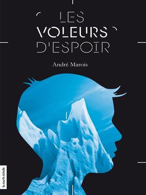 cover image of Les voleurs d'espoir
